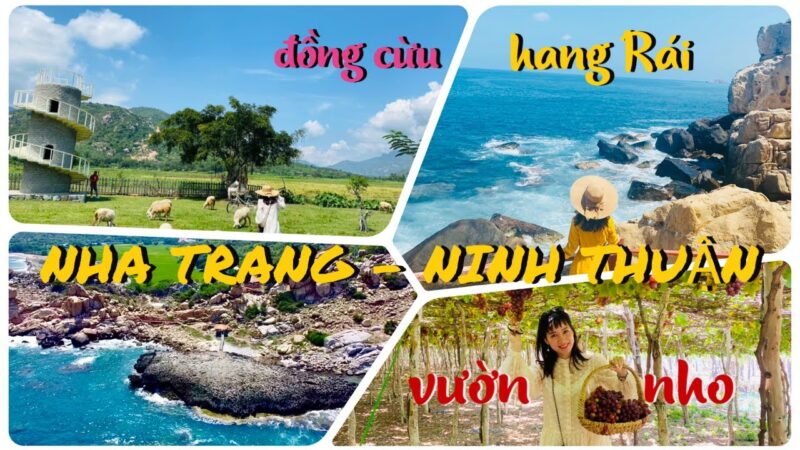 Tour Đồi Cừu – Hang Rái – Vườn Nho – Vĩnh Hy 