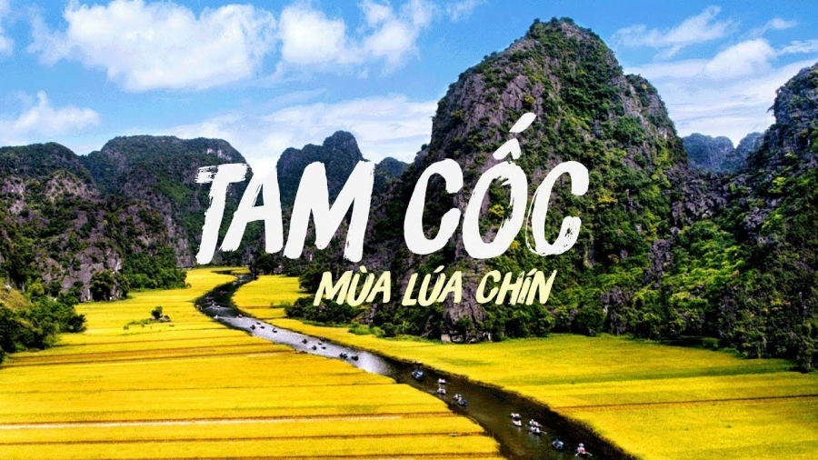 Tour Hà Nội - Ninh Bình - Hoa Lư - Tam Cốc