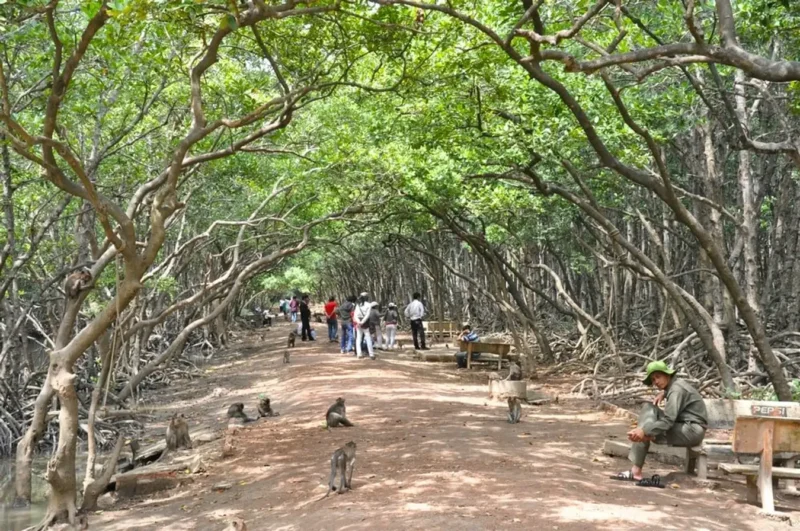 Tour Hồ Chí Minh - Đảo Khỉ Cần Giờ