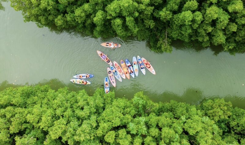 Tour Cồn Chim Quy Nhơn Thưởng ngoạn vẻ đẹp tuyệt mỹ